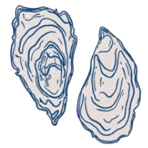 Oyster icon